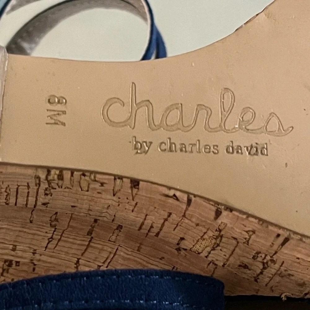 Charles by Charles David Navy Wedge Sandals - Picture 12 of 14